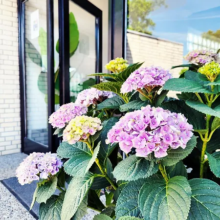 Lägenhet Strandnahe & Moderne Mit Hohem Schlafkomfort Von 